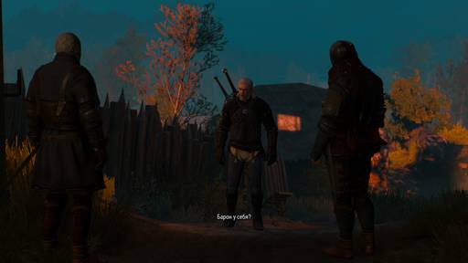 The Witcher 3: Wild Hunt - Полное прохождение сюжетных заданий Велена в The Witcher 3: Wild Hunt